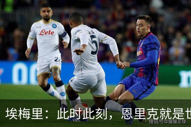 埃梅里：此时此刻，恩里克就是世界最佳主帅；大马丁还在度假